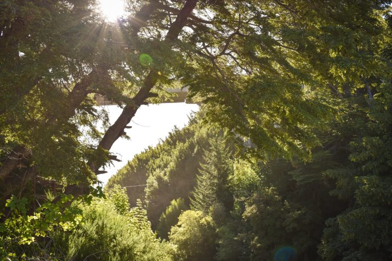 The Art of Slow Travel: Embracing Nature and Discovering Serenity