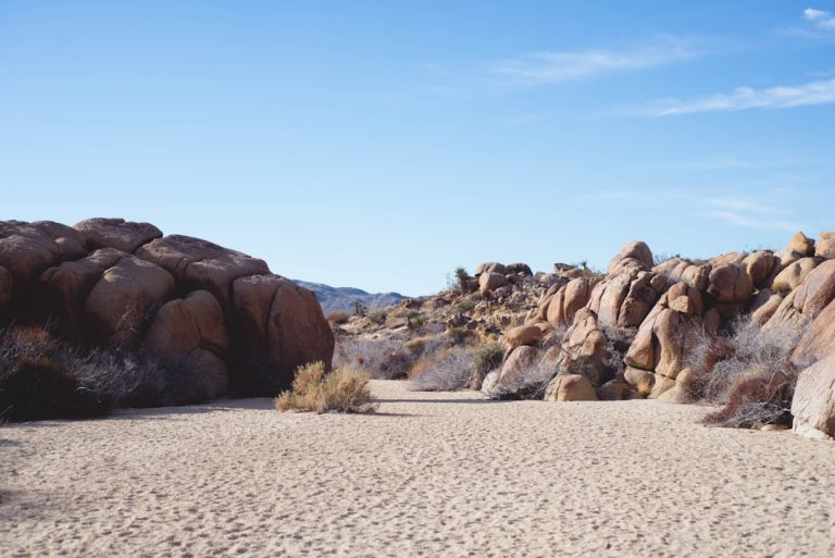 Embracing Eco-Friendly Practices in Outdoor Travel