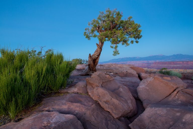 The Art of Slow Travel: Embracing the Journey